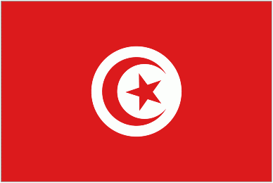 Tunisia ( together with Morocco Tour) - International Student Fairs - Spring 2024 image 1